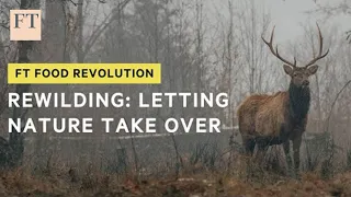 How do you actually rewild a property? | FT Food Revolution