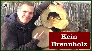 Kein Brennholz aus diesem Stamm