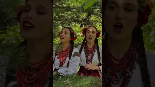 Українська народна пісня «Горіла сосна, палала» Юстина і Соломія Халавко. TikTok:@khalavko_sis