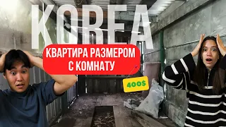 СТОИМОСТЬ ЖИЛЬЯ В КОРЕЕ. РУМ-ТУР. ПЕРЕЕЗД КОШКИ.