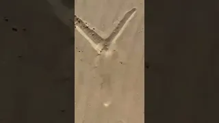 Stuck in sand