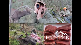 Sambar on the Slope | A Victorian Deer Hunt with Dylan Smith