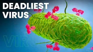 Deadliest Virus on earth ever discovered | Lyssavirus which cause Rabies | The Talking Telegraph