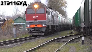 Pskov-Tovarny, Morozovskaya railroad. Diesel locomotives 2TE116UD with trains from Pytalovo