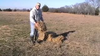 How Much Hay Do You Feed A Horse - Free Choice - Winter Feeding for Heat  Part 1