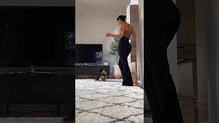 Pomeranian Joins Owner For A Dance Trend 💃🏻 #shorts #dog