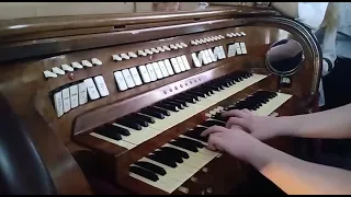 Felipe Bernardo toca o órgão da Basílica do Carmo em Campinas