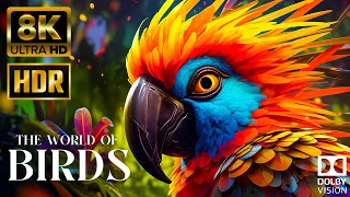 4K Birds & Wild Sounds | 4K Birds Relaxation Film | Forest Wildlife Animals ScreenSaver