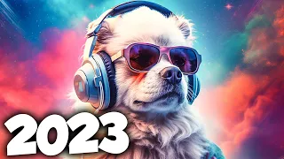 DANCE ELECTRONIC TOP HITS 2023 🔥 THE BEST ELECTRONIC SONGS | Alok, Tiesto & David Guetta Mix