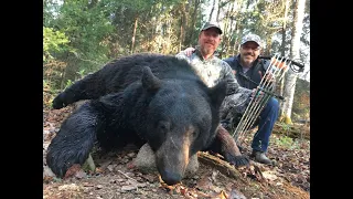 HUGE BLACK BEAR KILLED WITH A BOW!!