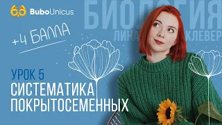 Систематика покрытосеменных | БИОЛОГИЯ ЕГЭ | Лина Клевер