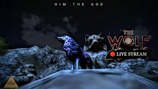 WAR IN 4M-15M CP| HIGHLIGHTS | HIM THE GOD | THE WOLF ONLINE RPG SIMULATOR