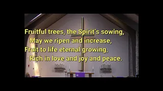 2022 03 20 Fruitful Trees the Spirit's Sowing