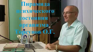 Пирамида психического состояния организма.Торсунов О.Г.