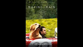 The Art of Racing in the Rain - Garth Stein