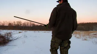 Rabbit Hunting With Blowgun!