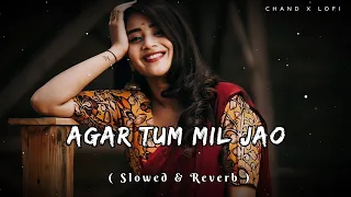 Agar Tum Mil Jao - | Slowed & Reverb | Lo-fi Songs #slowreverb #lofisong #90s #shreyaghoshal