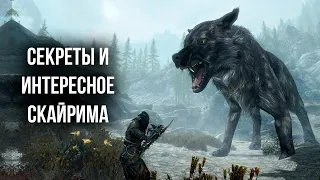 Skyrim Секреты и Интересные Моменты игры ( Секреты 386)