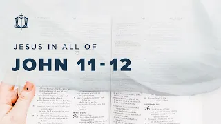 John 11-12 | Lazarus, Come Out | Bible Study