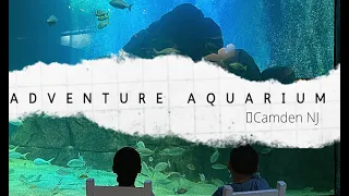 A Day Trip at Adventure Aquarium Camden NJ