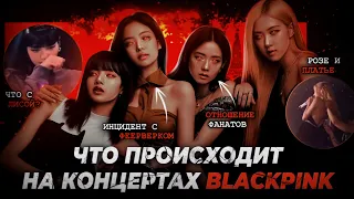 Ситуации на концертах BLACKPINK | Что происходит на концертах BlackPink? | [Born Pink Tour]