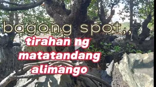 ep270Bagong spot nadiskobri tirahan ng matatandang alimango