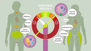 European Hormone Day 2024 - 10 recommendations for good hormone health.