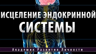 Программа исцеление эндокринной системы [Космоэнергетика]