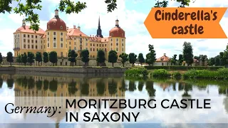 Moritzburg Castle: A Perfect Day Trip Destination from Dresden