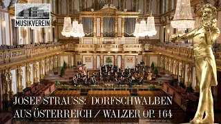 Josef Strauss: Dorfschwalben aus Österreich/Walzer op.164 | #NYC2024 | #NewYearsConcert ♪♫