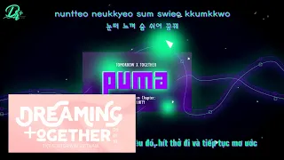 [TXT-Vietsub] 05. 동물원을 빠져나온 퓨마 (PUMA) - TXT (Audio)