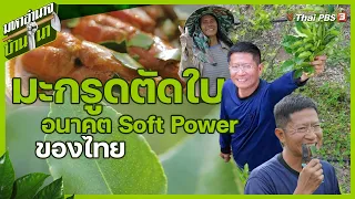 มะกรูดตัดใบ อนาคต Soft Power ของไทย | มหาอำนาจบ้านนา