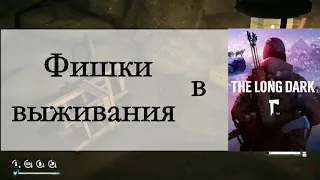 Фишки выживания в The Long Dark (Уголь/кроль/банки)