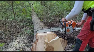 Stihl MS 500i - czy to nowoczesna konstrukcja? Dokładniej się jej przyjrzyjmy - z omówieniem.