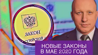 Новые важные законы и законопроекты мая 2020 года