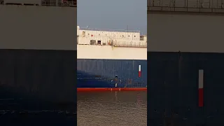 NYK Ship Arrival is at Mongla port