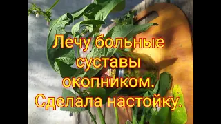 Лечу больные суставы окопником. Сделала настойку.