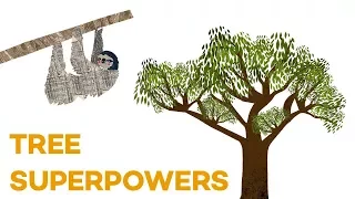 The hidden superpowers of trees