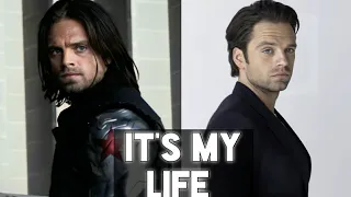 It's My Life || Sebastian Stan/Bucky Barnes