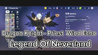 TLON - Dragon Knight Priest | Wind Fairy Echo Gameplay ( I Got Disconnected 😱 Epic Comeback)