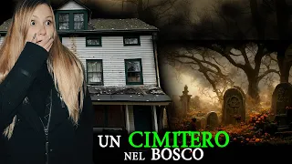 TROVIAMO UN CIMITERO NEL BOSCO E .....