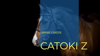 Catoki Z