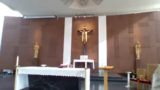THIRTY SECOND SUNDAY MASS IN ORDINARY TIME 11/7/21 9:30am.ma