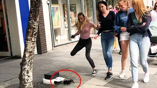 Giant Spider Prank: People Freaking out