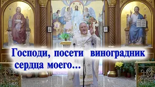 Господи, посети виноградник сердца моего... Проповедь священника Георгия Полякова.