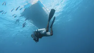 Diving in South Ari Atoll, Maldives