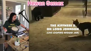 Tiktok viral song 2021 ( The Kiffness X Talking Cat Live Looping Remix) #tiktok #hewangemez