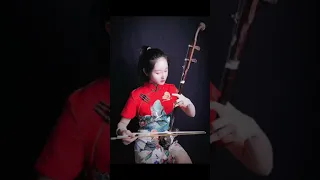 Erhu Instrument 294