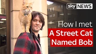 How I met A Street Cat Named Bob