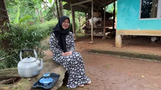 JANDA DESA SATU ANAK USIA 35 THN SEDERHANA INGIN CARI JODOH YG SERIUS DATANG LANGSUNG KE ORANG TUA